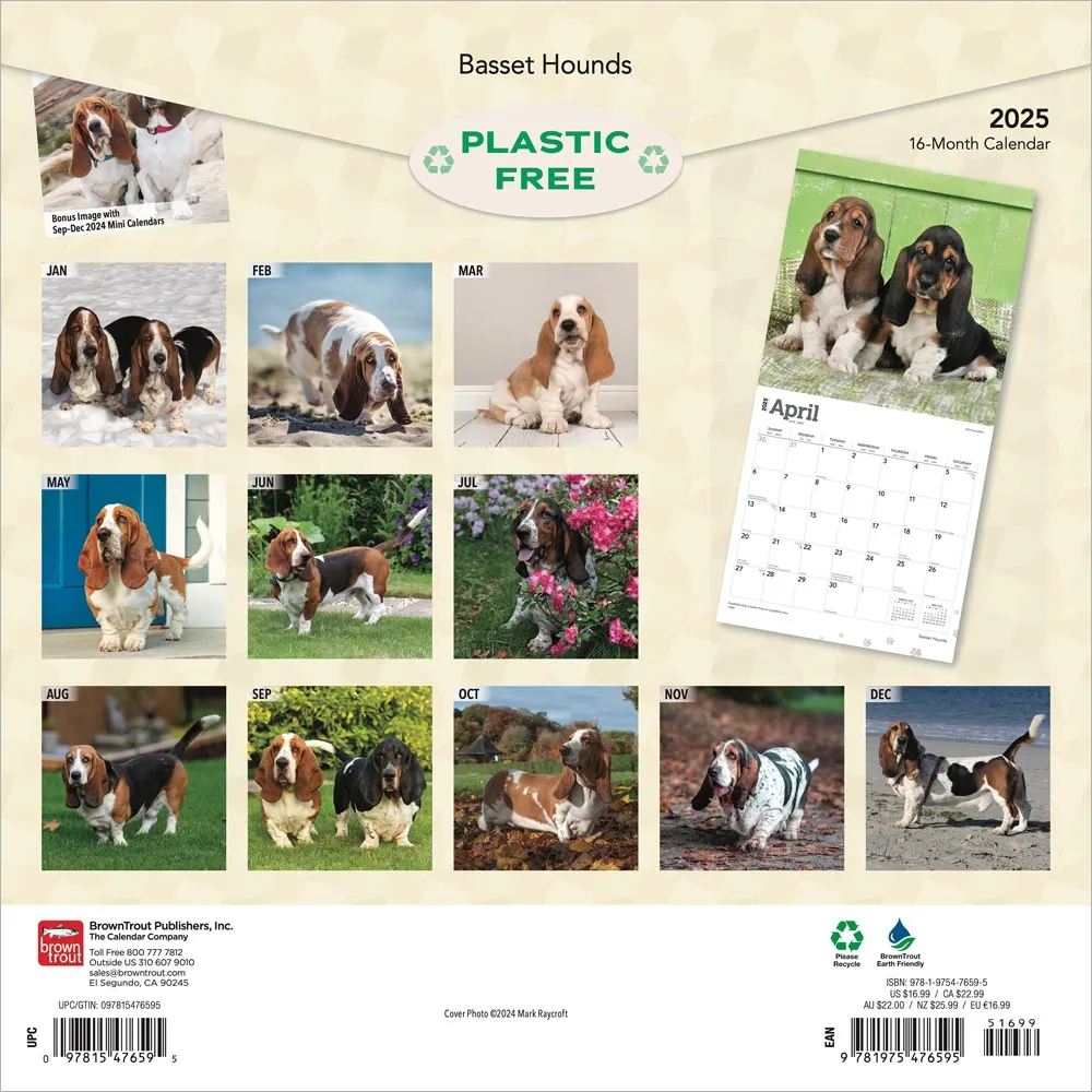 2025 Basset Hounds Wall Calendar