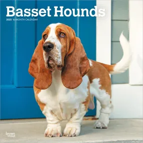 2025 Basset Hounds Wall Calendar