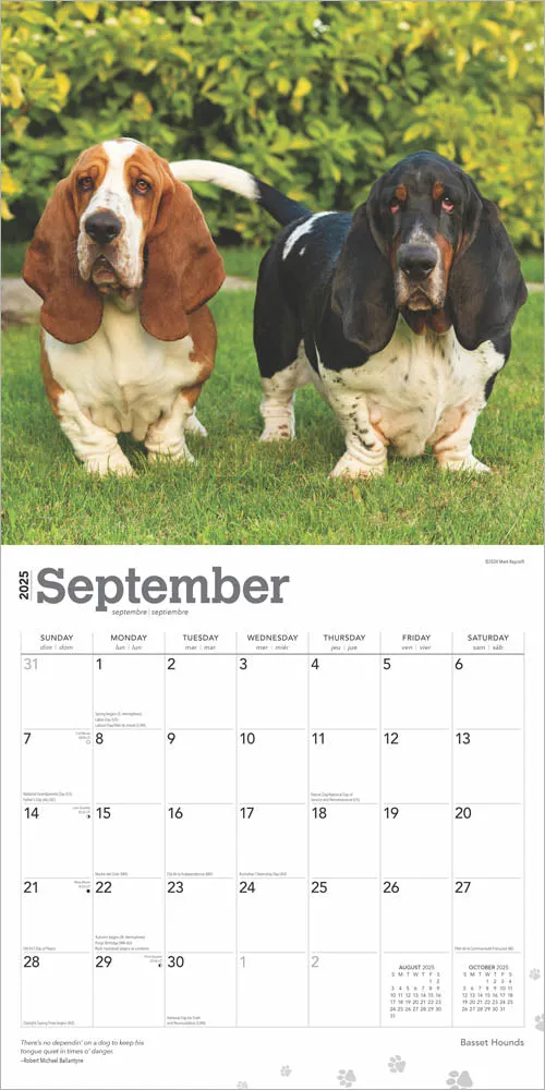 2025 Basset Hounds Wall Calendar