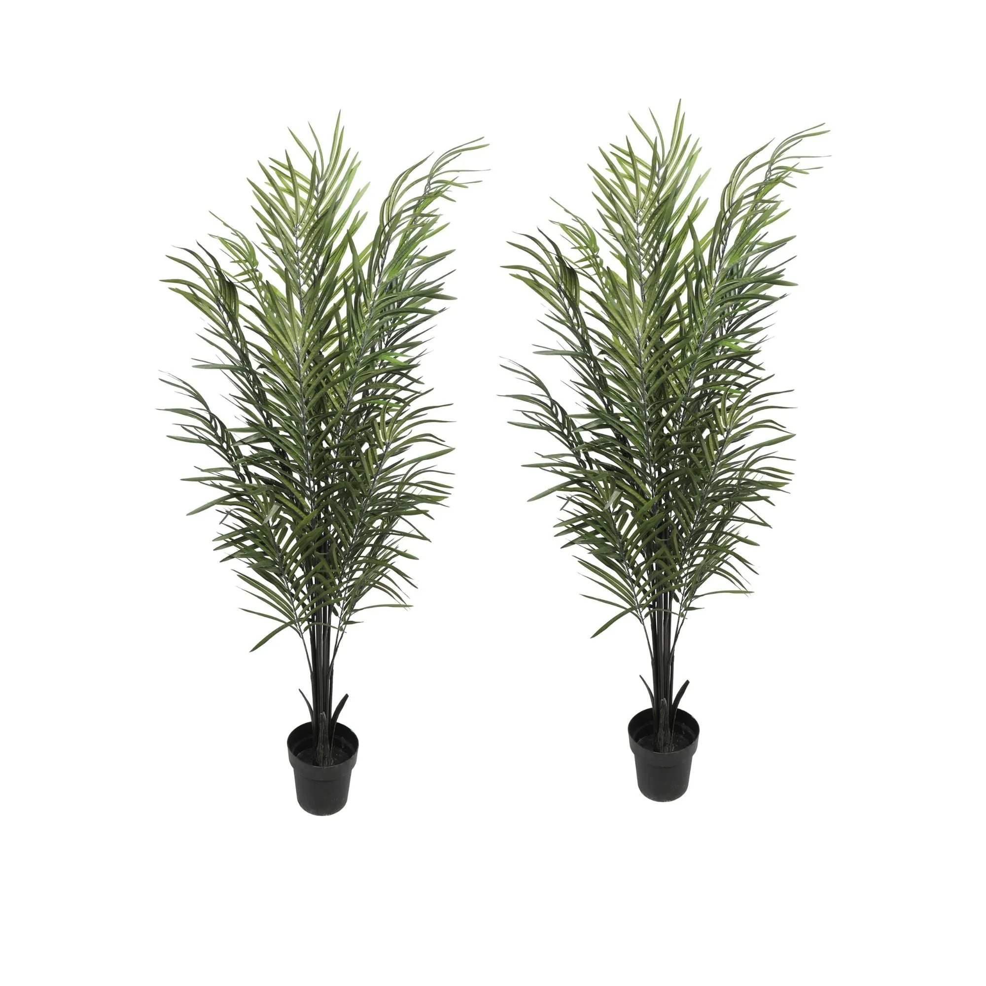 Artificial Areca Palm Black Trunks 190cm (2 Artificial Palm Set)