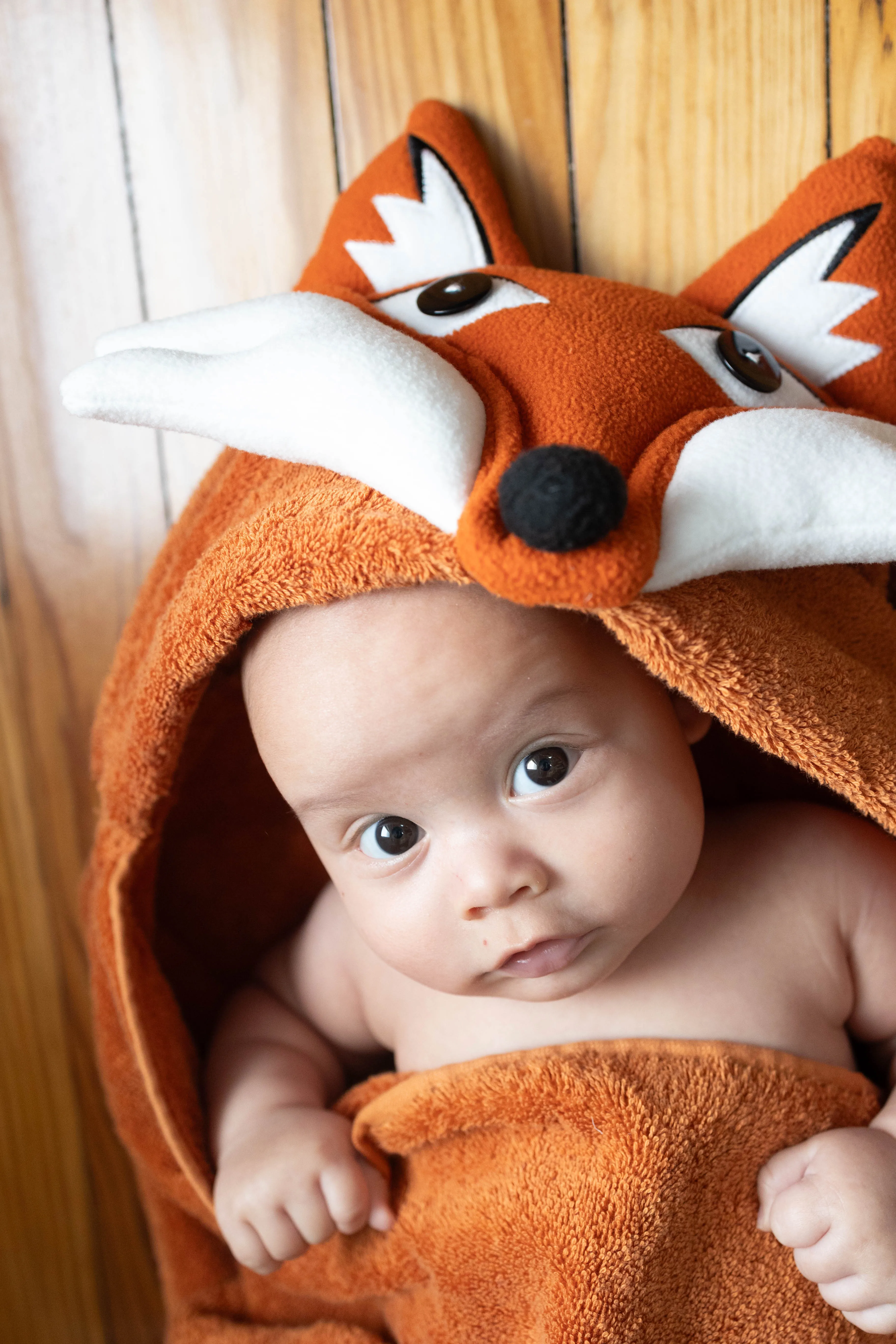 Blaze the Fox Hooded Towel