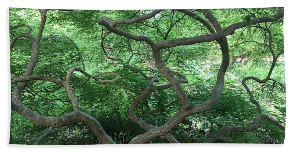 Cascading Japanese Maple - Bath Towel