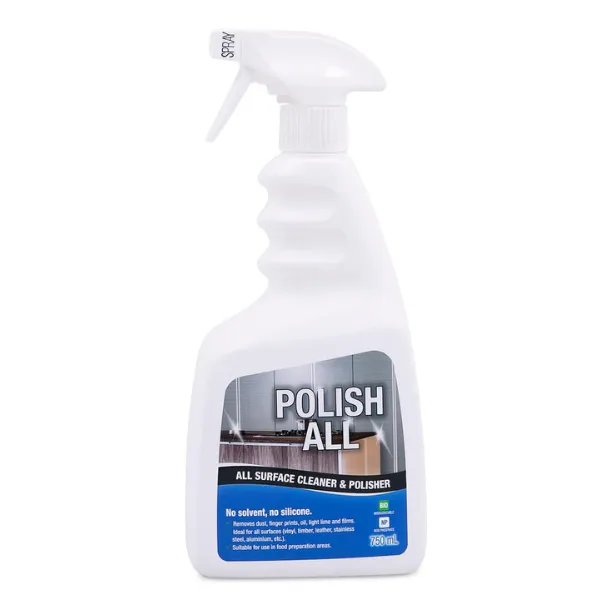 Clean Plus Polish All Surface Cleaner and Polisher