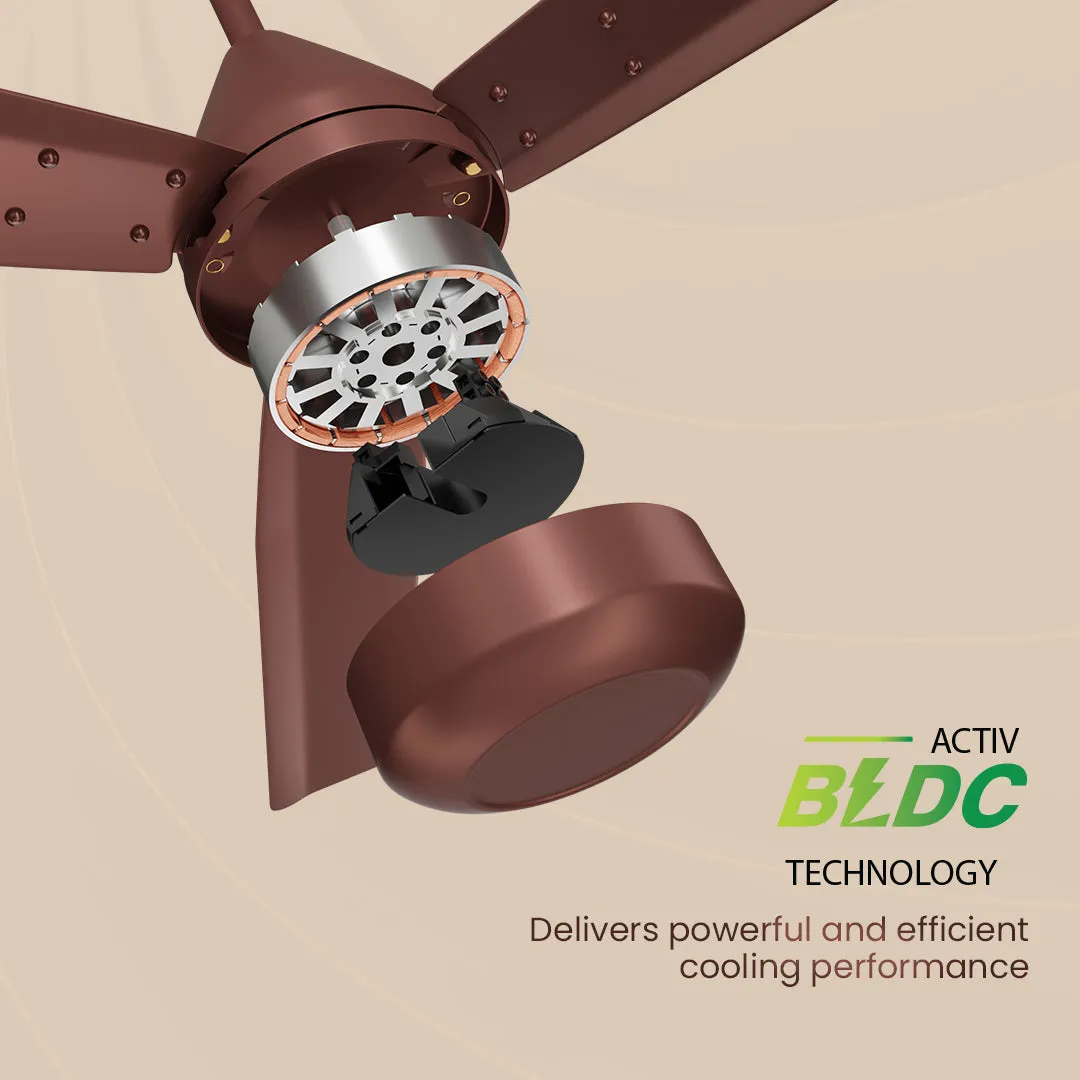 Crompton Energion Cromair Regulator BLDC Ceiling Fan