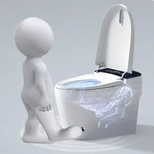 ExBrite 1.28GPF Smart Toilets with Heated Bidet Seat Portable toilet with bidet built in AUTO White