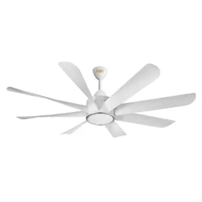 Kuhl Platin D8 BLDC Underlight Ceiling Fan With Remote 1200 mm White