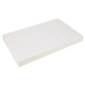 P6071373 Pitco Filter,oil(28"x17.5",std -100-APT40