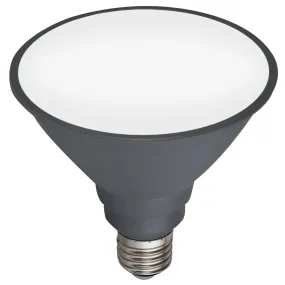 PAR38 Warm White E27 LED Globe