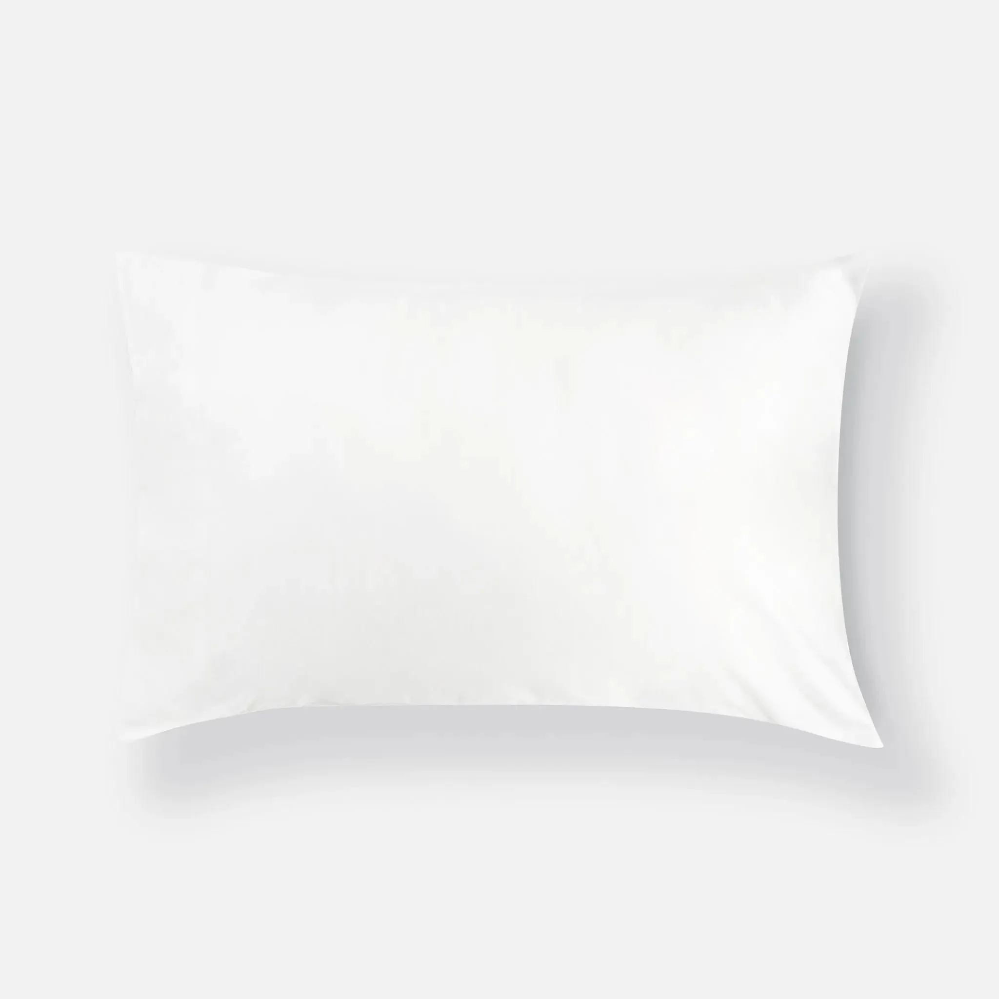 Pillow & Pillowcase Bundle