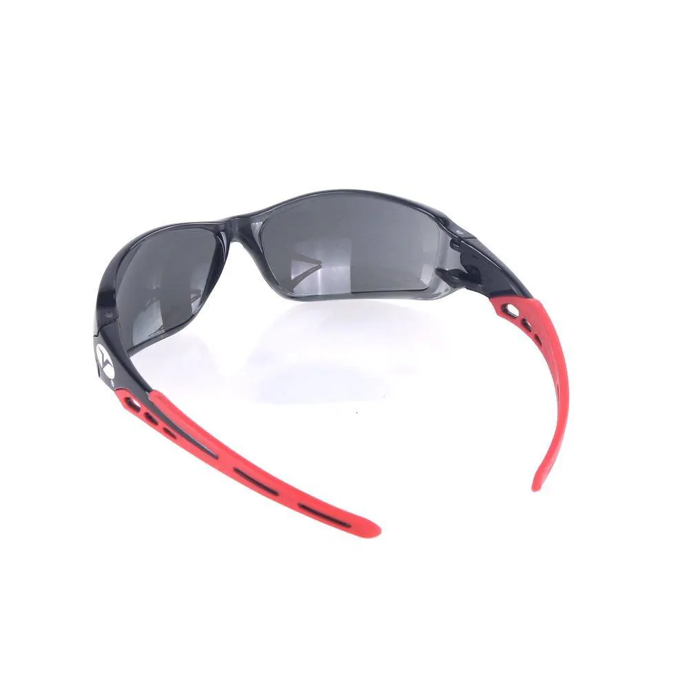 Security Glasses RF504285