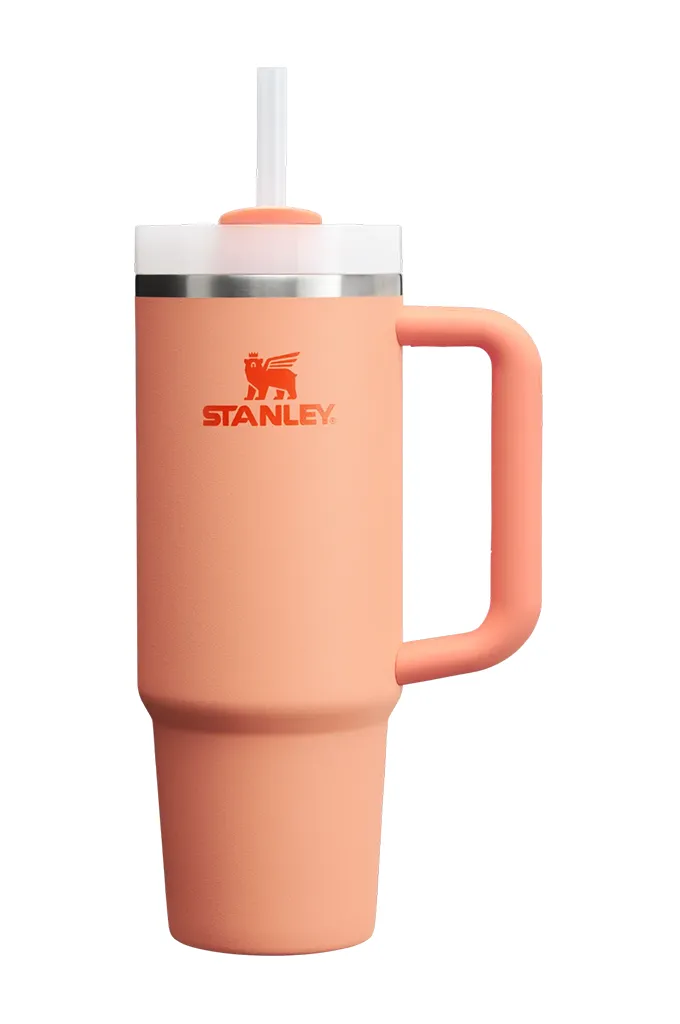 Stanley The Quencher H2.0 FlowState Lid Tumbler 30 oz