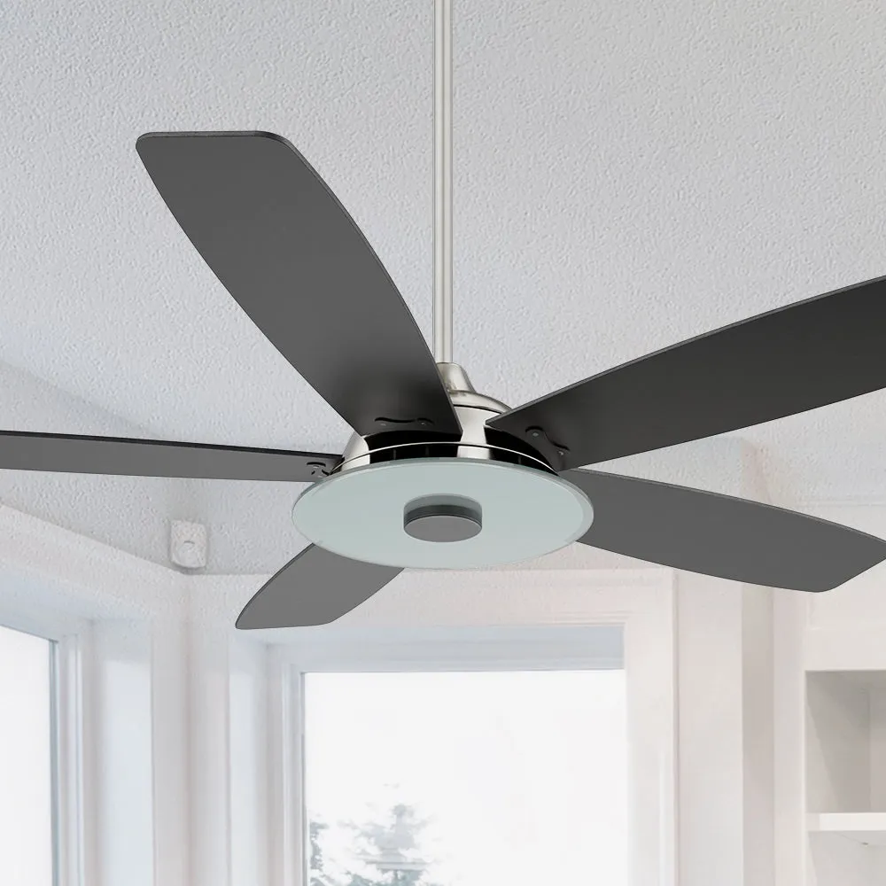 Striker Smart Ceiling Fan with LED Light and Remote Outdoor/Indoor 56"