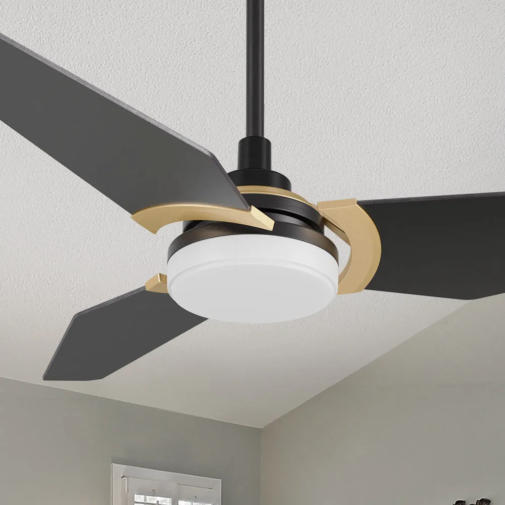 Trailblazer Outdoor Smart Ceiling Fan with LED Light and Remote 56"